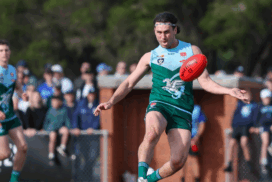 BFL season review