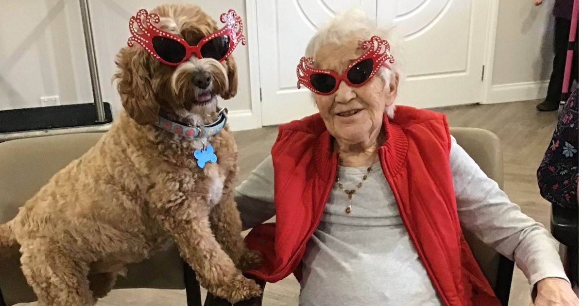 Geelong Aged Care