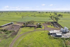 Ondit dairy farm