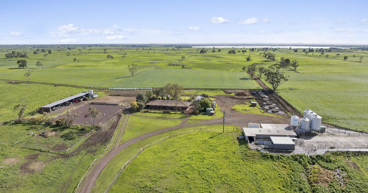Ondit dairy farm