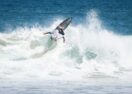Rip Curl GromSearch