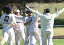 GCA cricket 2025