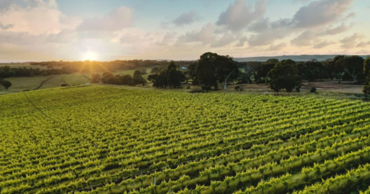 Geelong Bellarine events