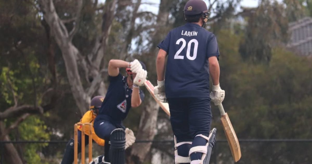 Geelong cricket finals