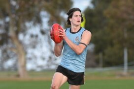Geelong Grammar School scholarships