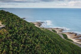 Lorne Real Estate Snapshot