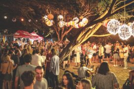 Torquay Nightjar Festival