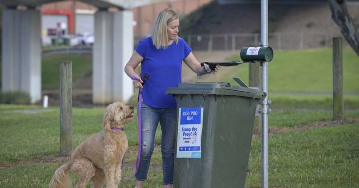 Geelong pet plan