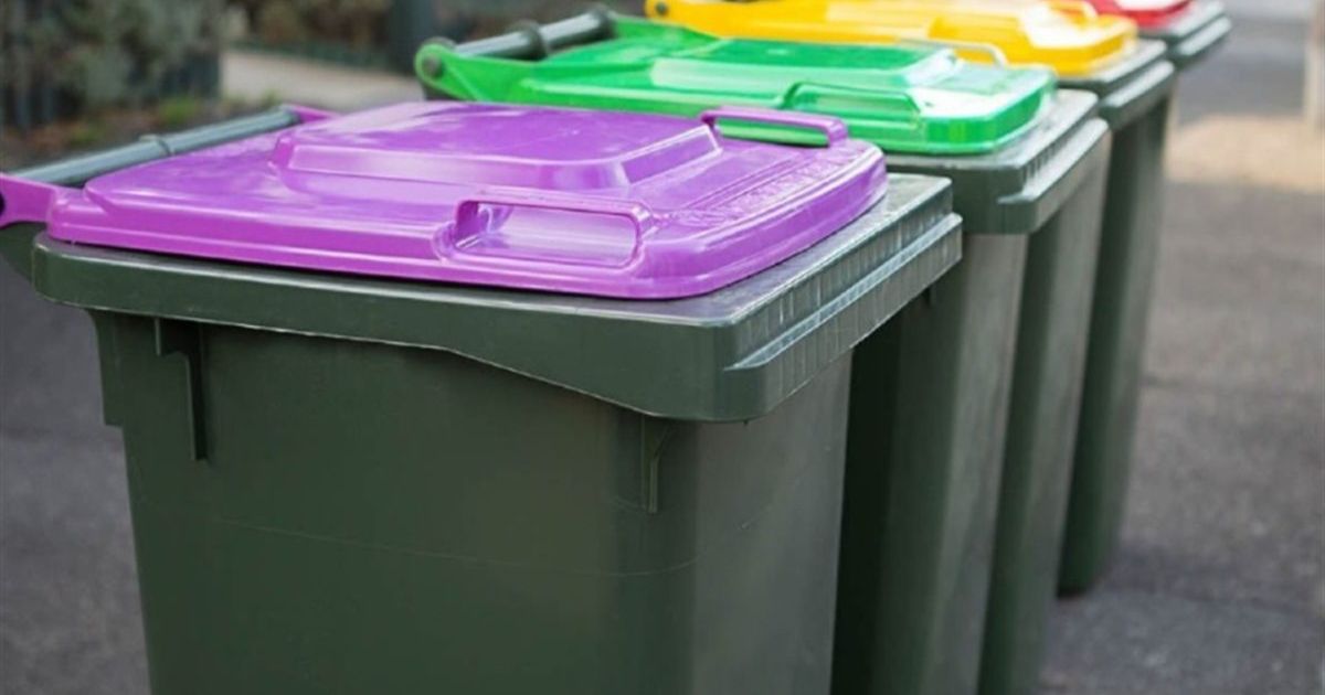 glass bin rollout