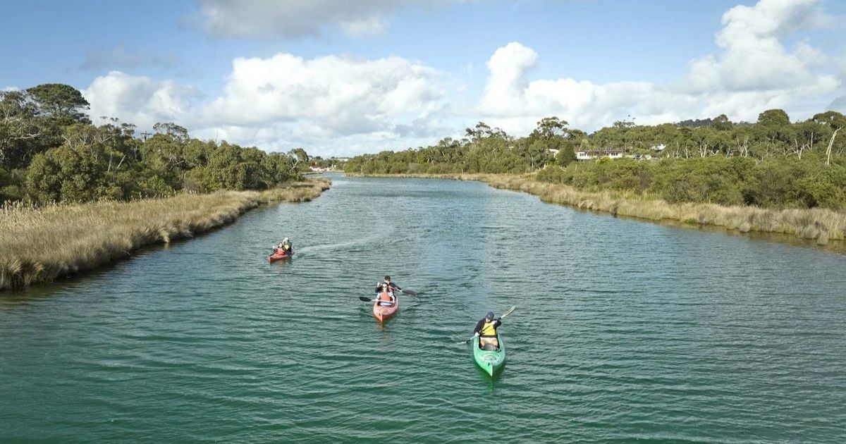 Anglesea Surf Coast