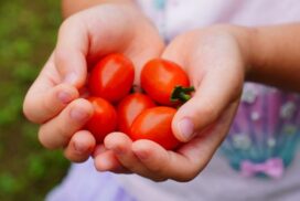 Botanic gardens program