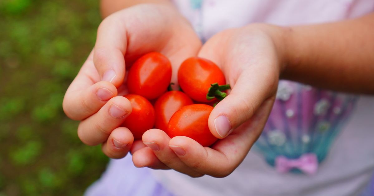 Botanic gardens program