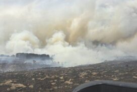 Otways bushfire update
