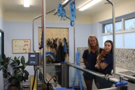 Animal physiotherapy Geelong