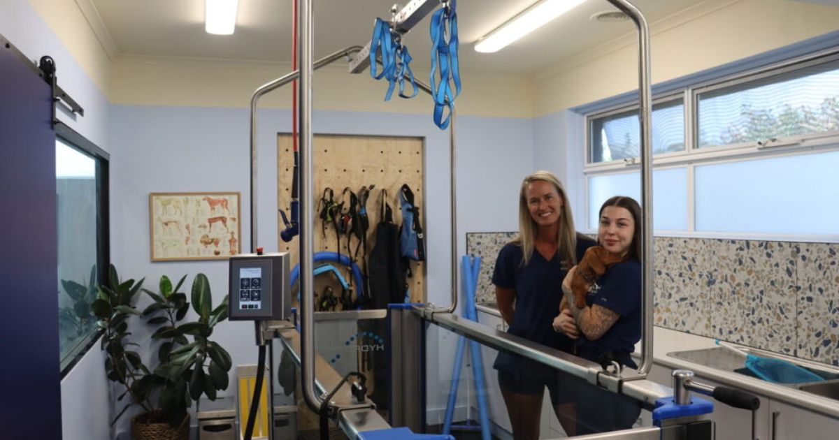 Animal physiotherapy Geelong