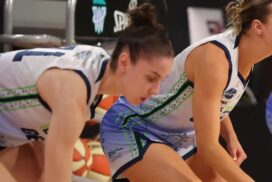 Geelong Venom WNBL