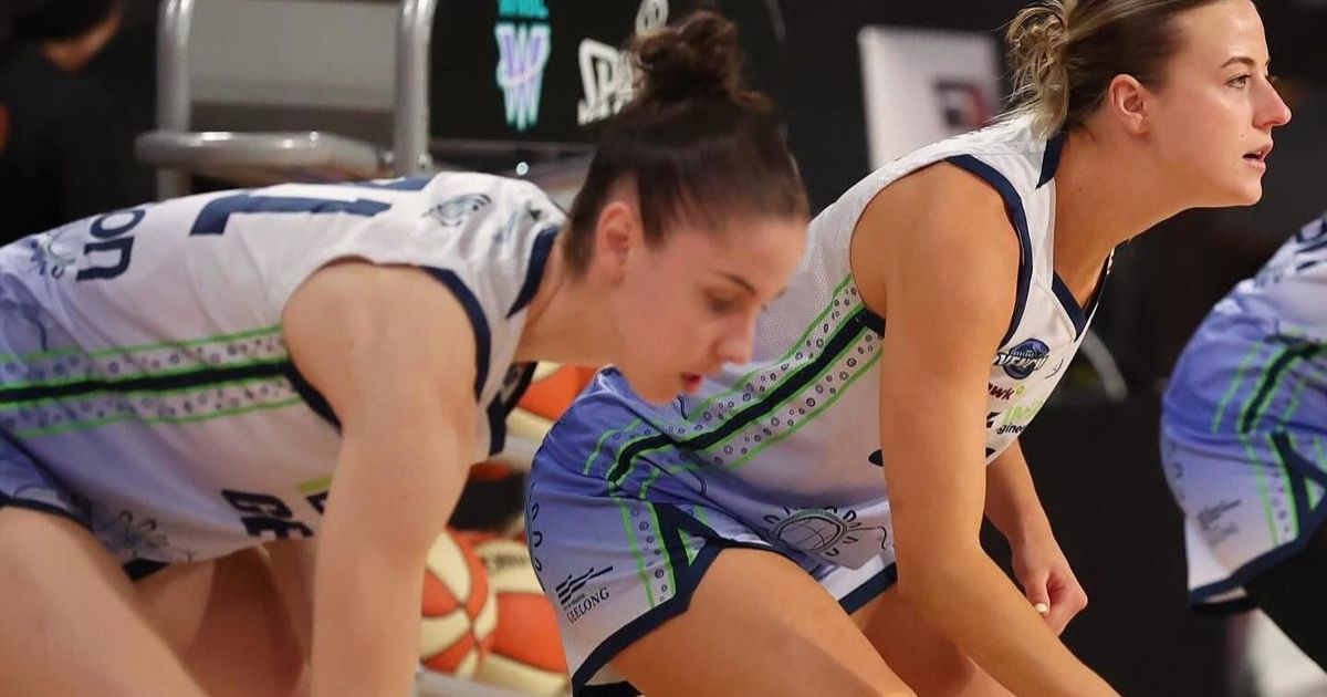 Geelong Venom WNBL