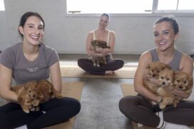 Puppy Yoga Geelong