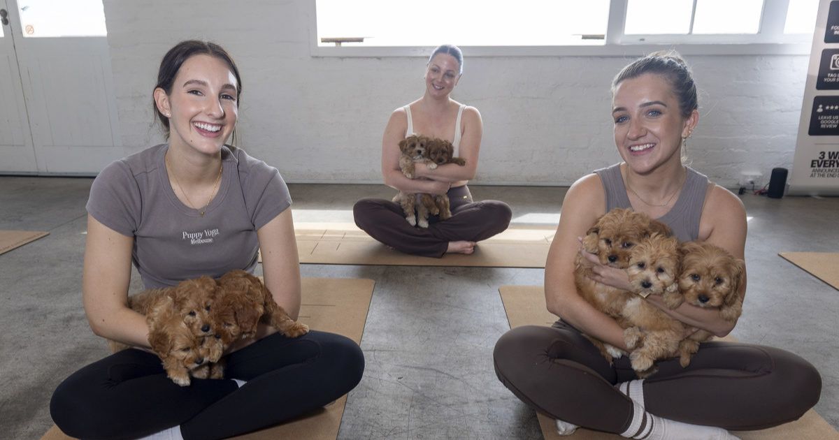Puppy Yoga Geelong