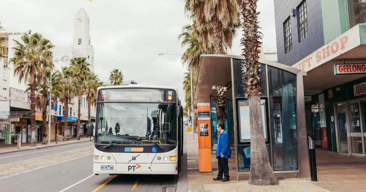 Geelong bus review
