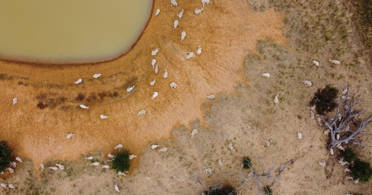 El Niño Impact