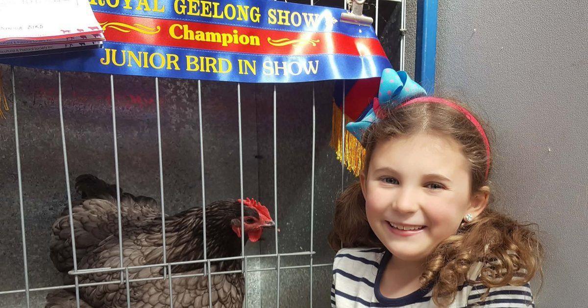 Geelong Poultry Club