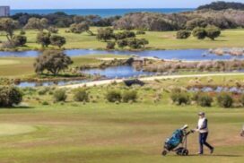 Bellarine golf results