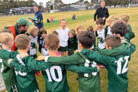 Hanlon Cup Lightning Premiership