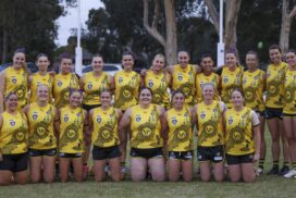 Torquay Indigenous guernsey