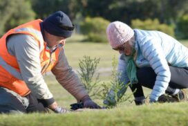 Geelong Volunteering Expo