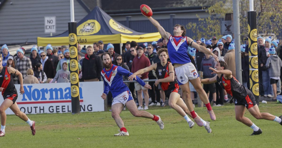 South Barwon Swans coach