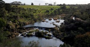Buckley Falls fish passage
