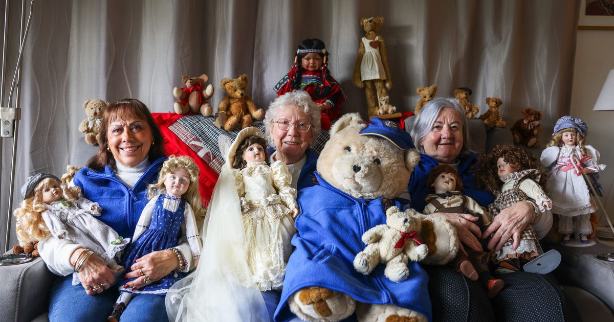 Geelong doll teddy show