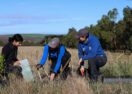 Barwon River koala conservation