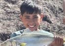 Victoria rainbow trout stocking