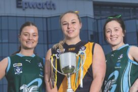 Grovedale Geelong Amateur football
