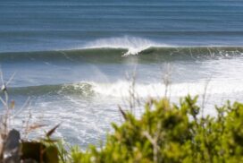 Bells Beach Junior
