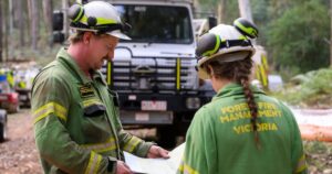 Forest firefighter jobs