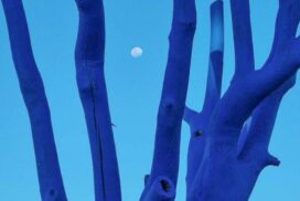 Blue Tree Project