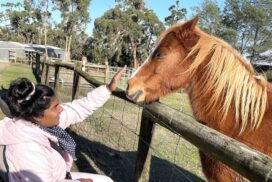 Disability Support Victoria