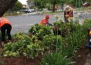 Beautify Bannockburn group