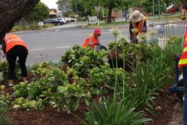 Beautify Bannockburn group