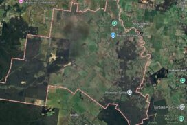 Napoleons community forum