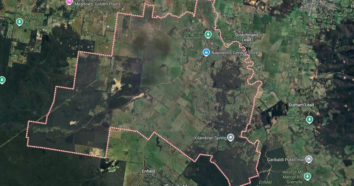 Napoleons community forum