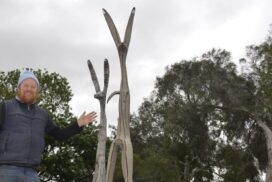 Inverleigh kangaroo sculptures