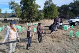 Golden Plains Grants