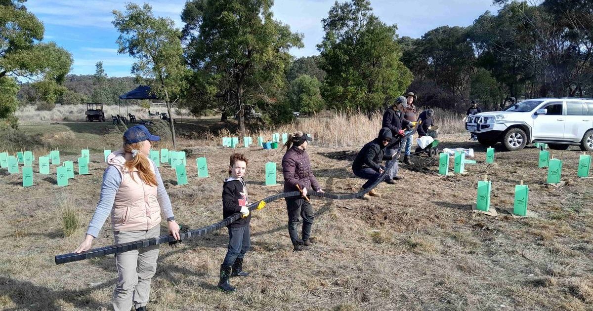 Golden Plains Grants