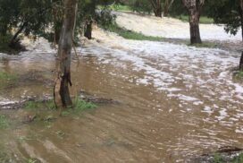Smythesdale flood study