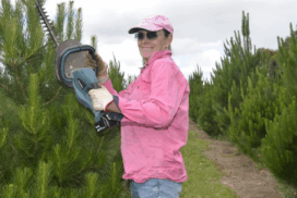 Inverleigh Christmas Trees