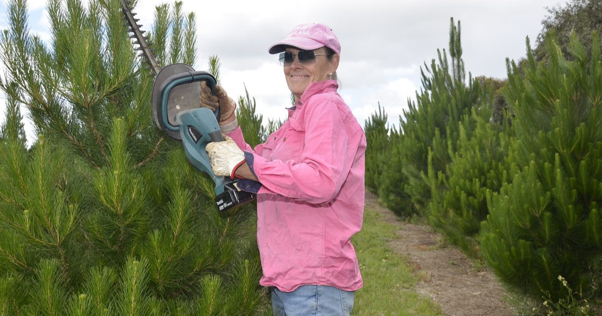 Inverleigh Christmas Trees